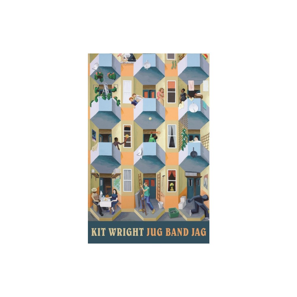 Bloodaxe Books Ltd Jug Band Jag (häftad, eng)