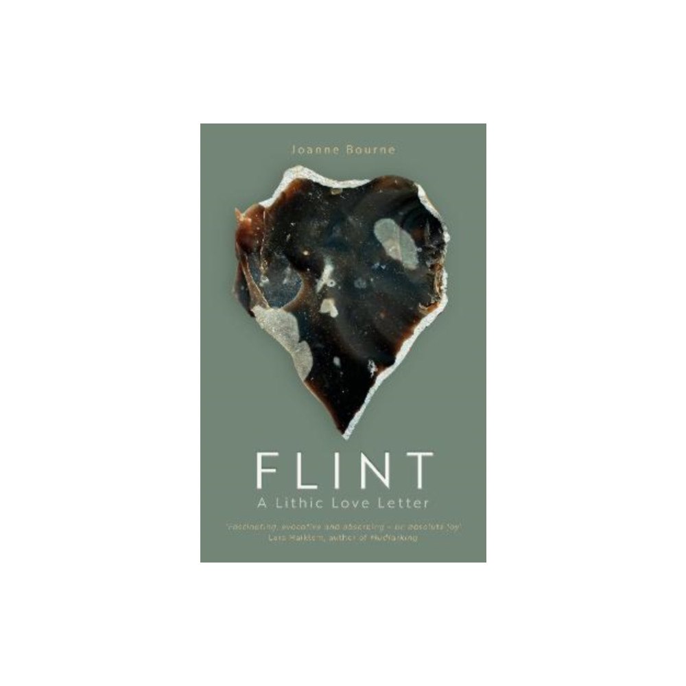 Eye Books Flint (häftad, eng)