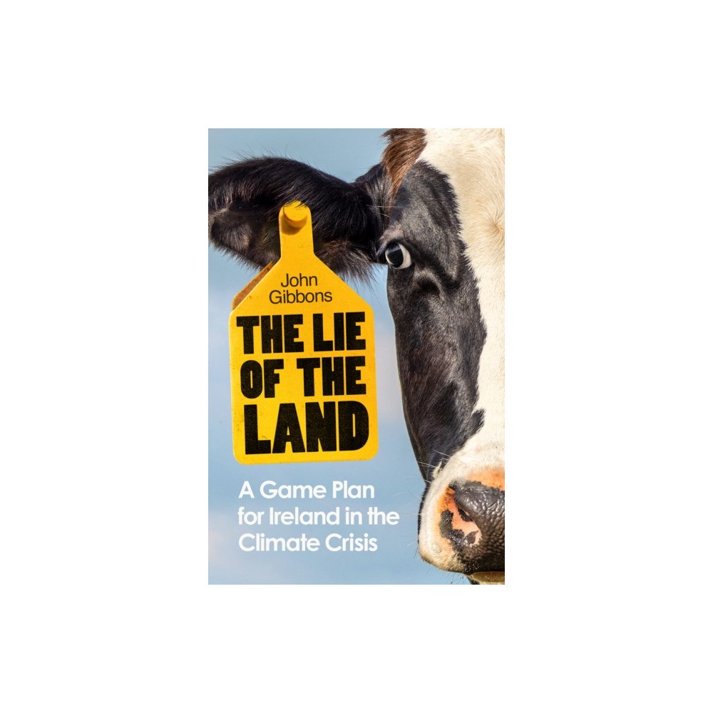 Penguin books ltd The Lie of the Land (häftad, eng)