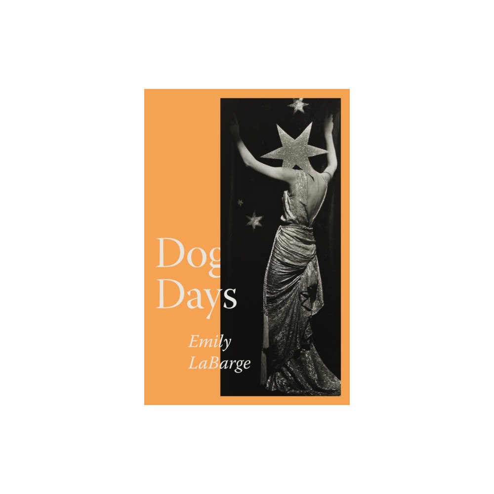 Peninsula Press Ltd Dog Days (häftad, eng)