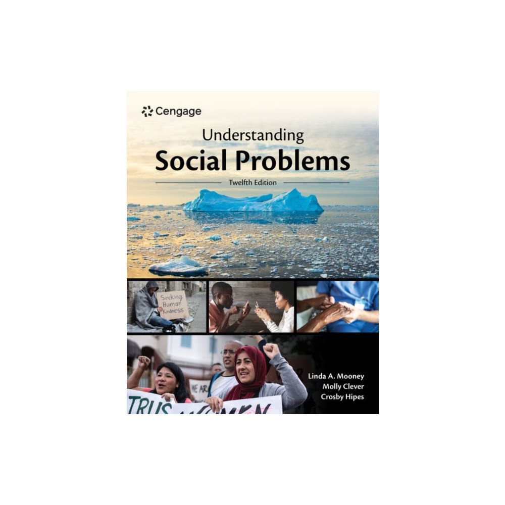 Cengage Learning, Inc Understanding Social Problems (häftad, eng)