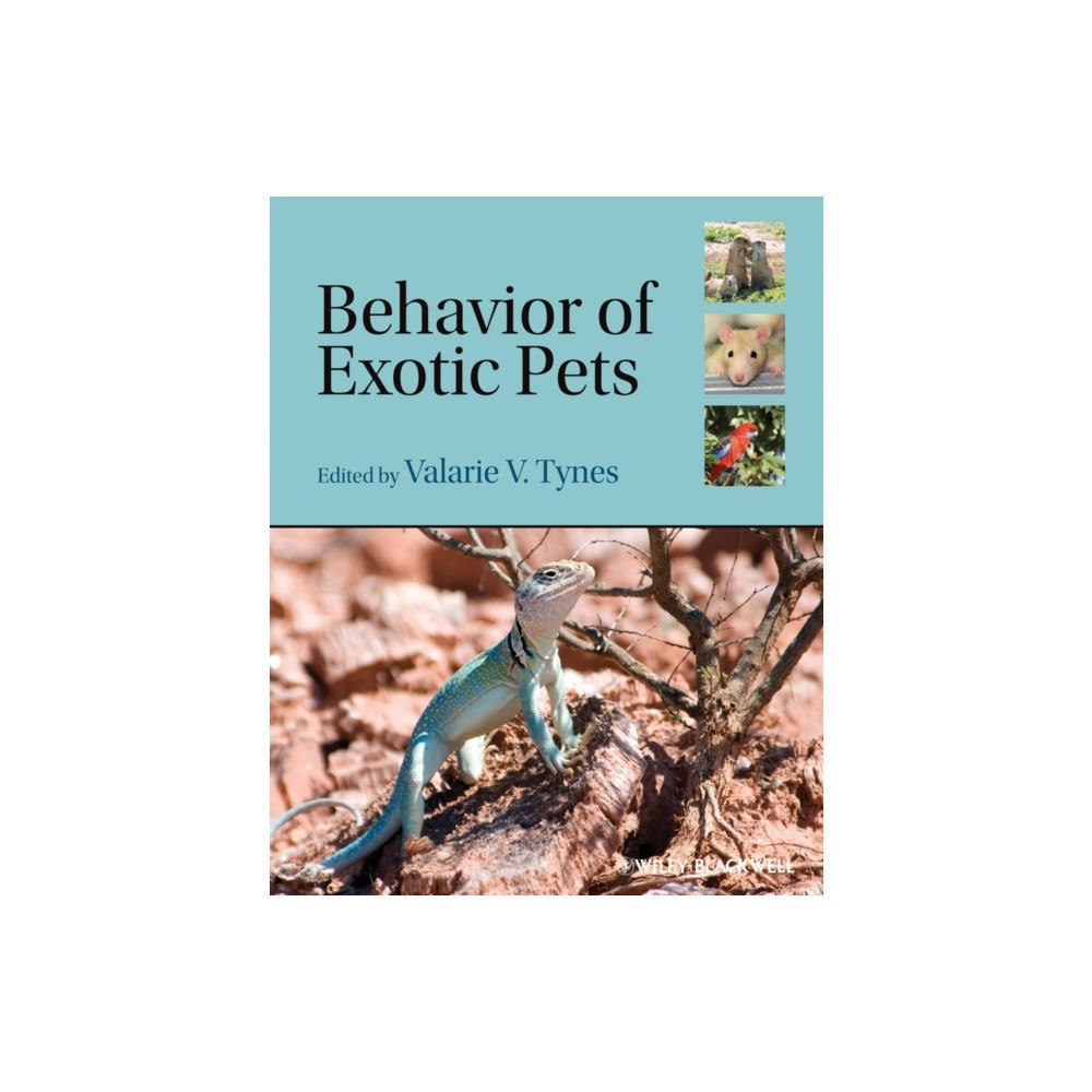 John Wiley And Sons Ltd Behavior of Exotic Pets (häftad, eng)