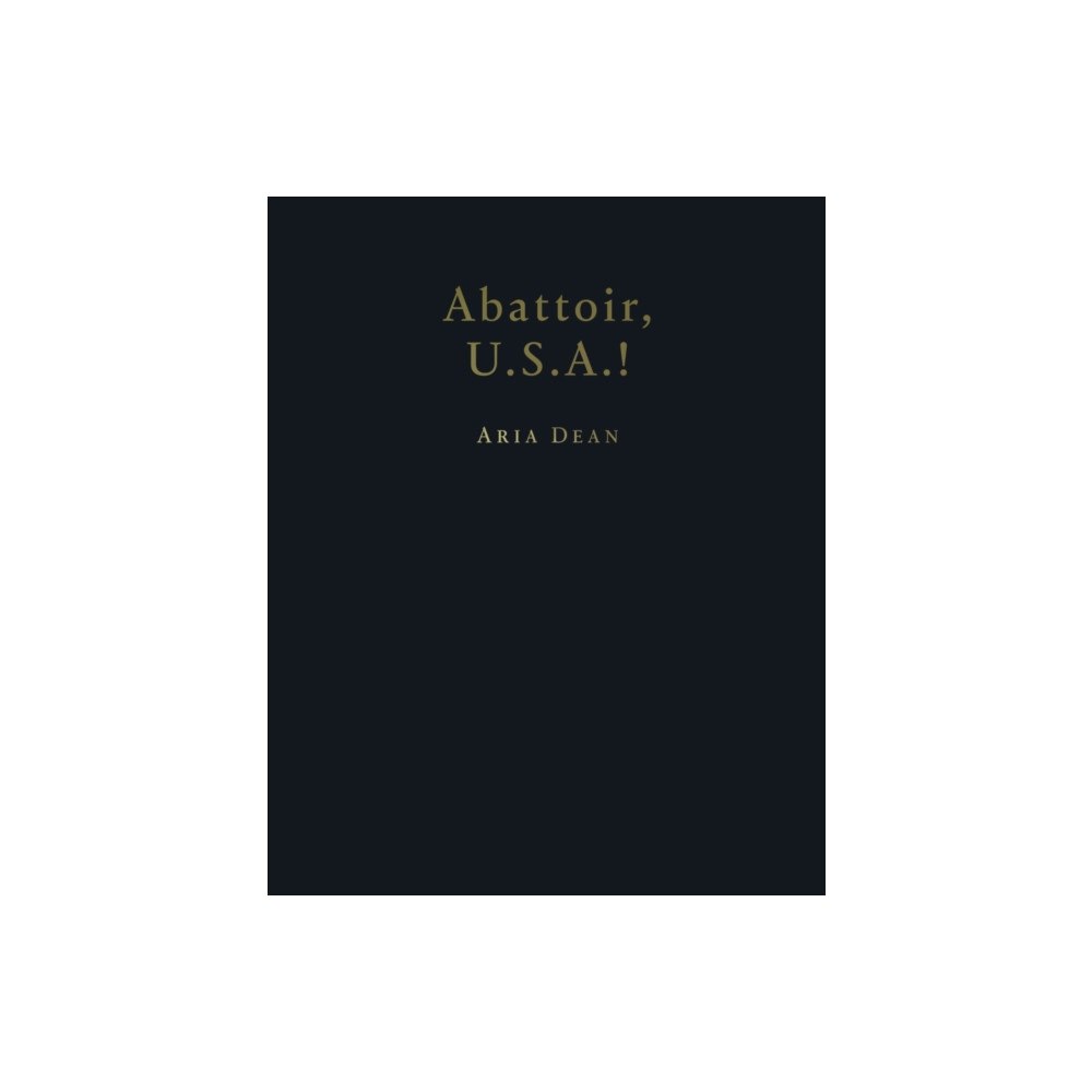 Renaissance Society at the University of Chicago Aria Dean (inbunden, eng)