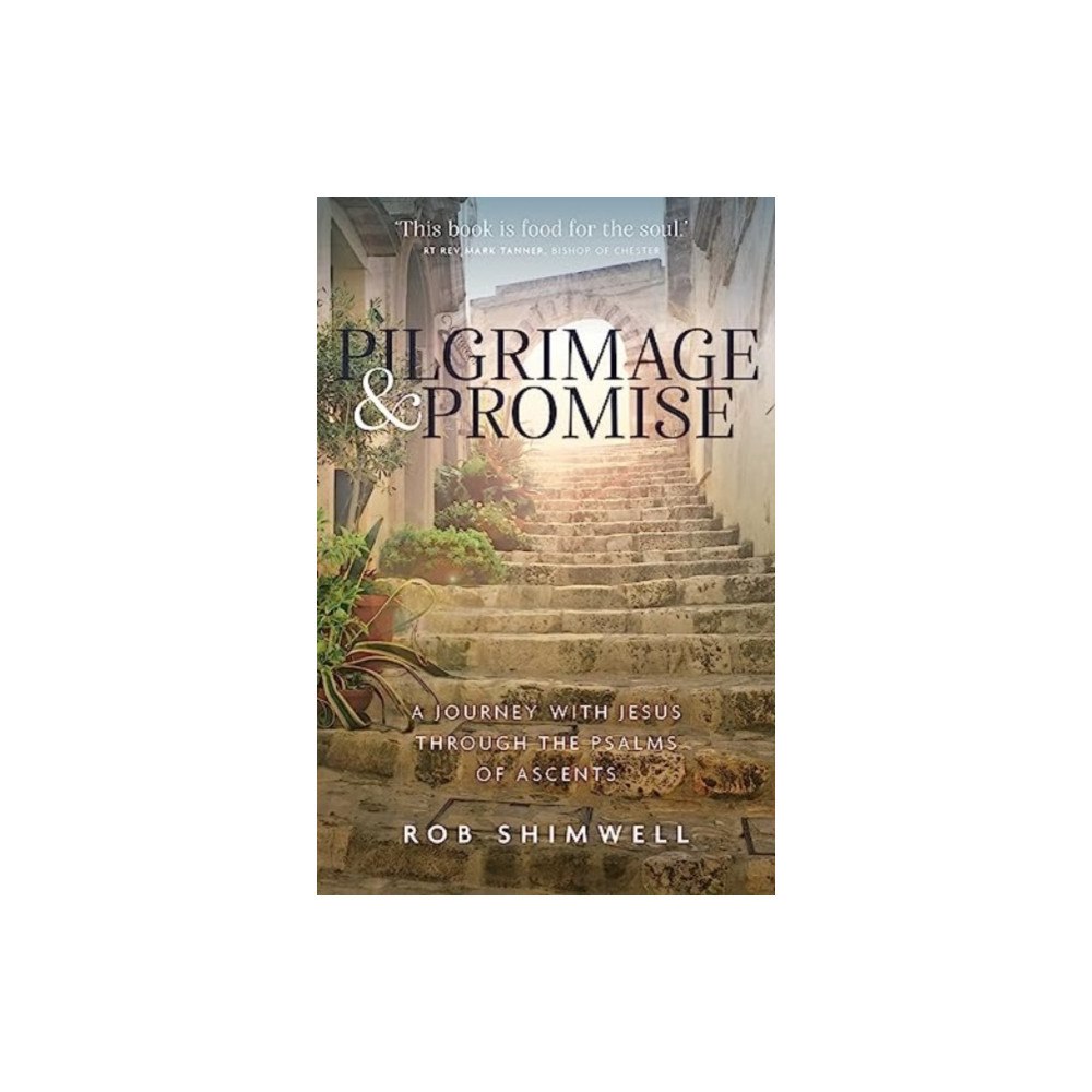 Instant apostle Pilgrimage and Promise (häftad, eng)