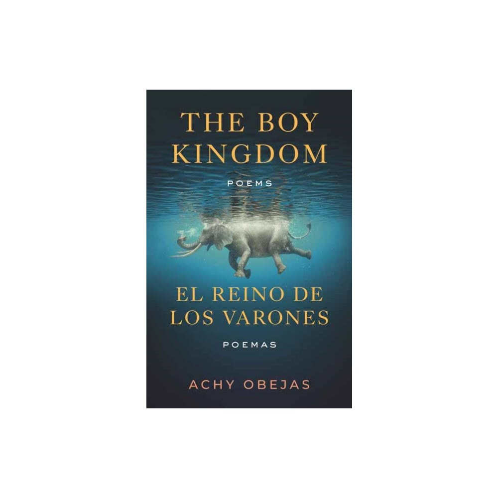 Beacon Press Boy Kingdom / El reino de los varones,The (häftad, eng)