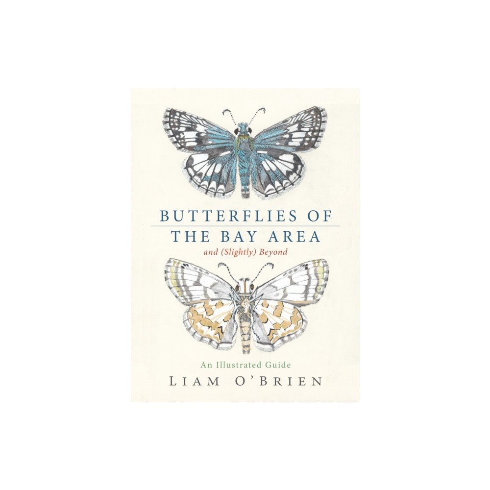 Heyday Books Butterflies of the Bay Area and (Slightly) Beyond (inbunden, eng)