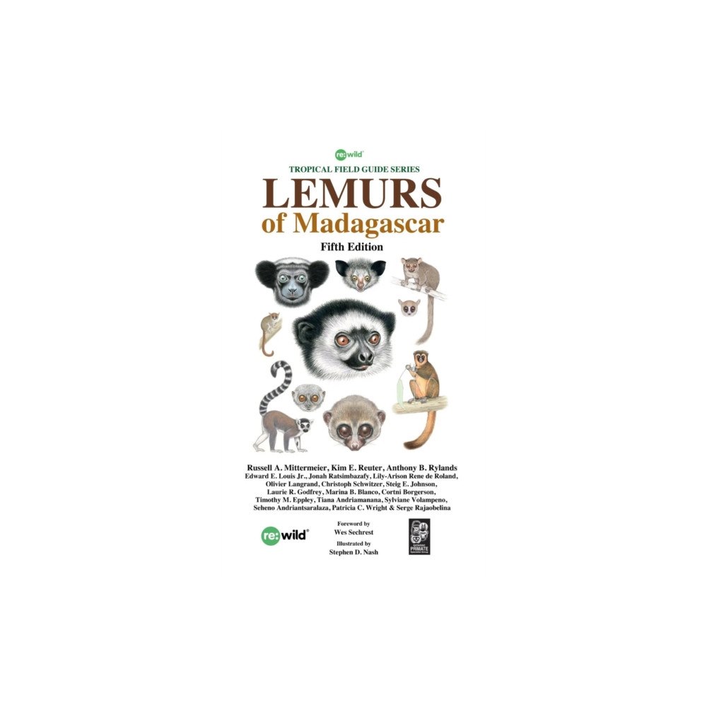 Re:wild Lemurs of Madagascar (häftad, eng)