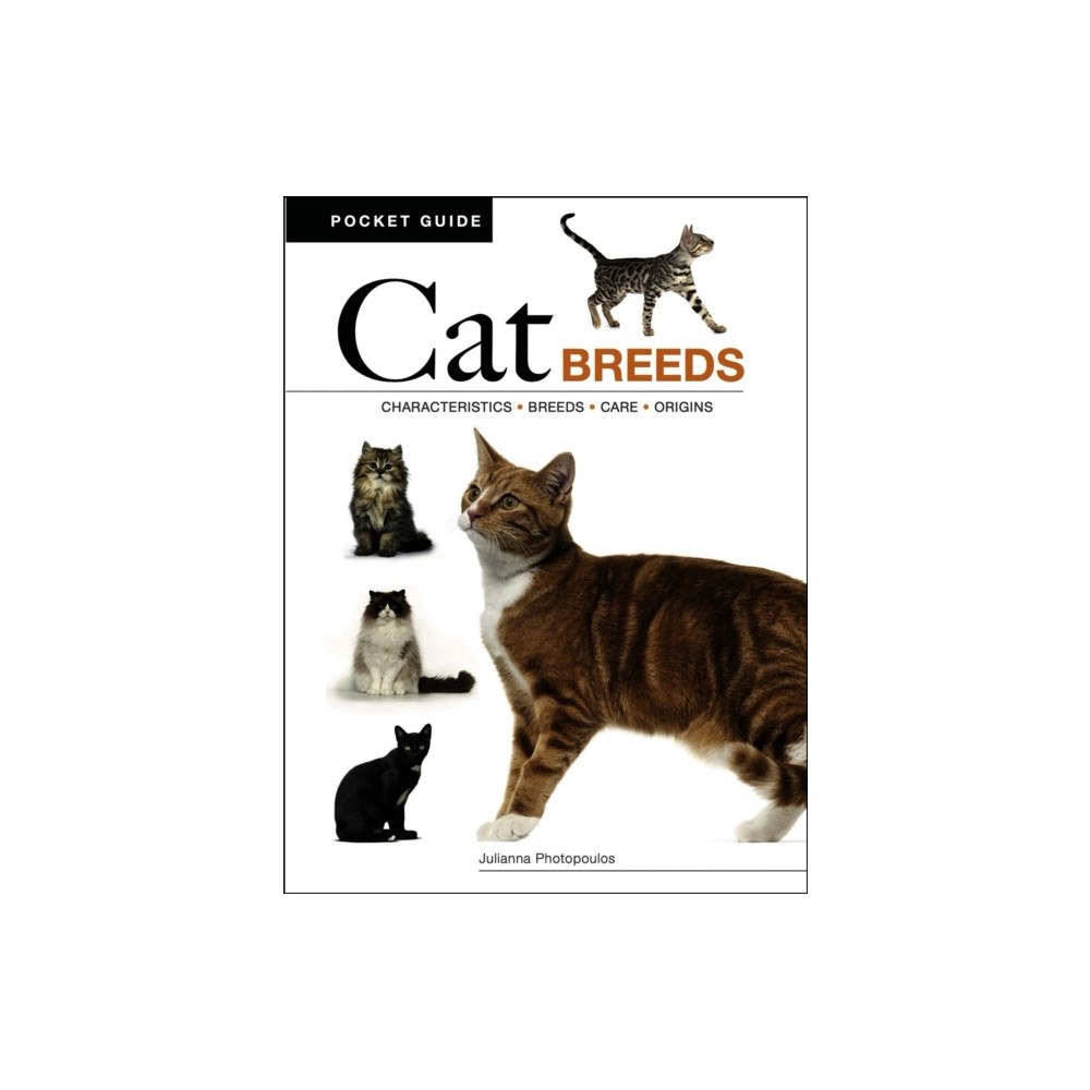 Amber Books Ltd Cat Breeds (häftad, eng)