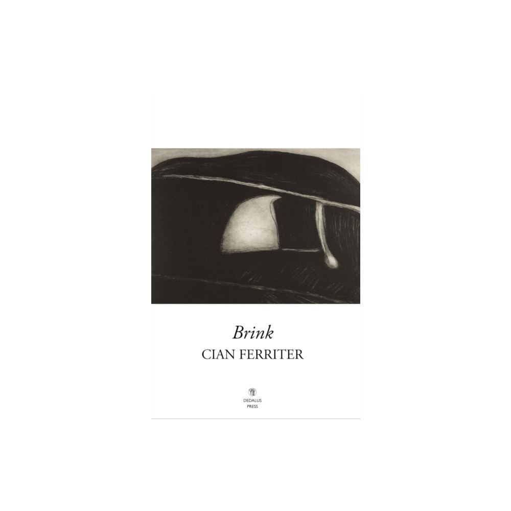 Dedalus Press Brink (häftad, eng)