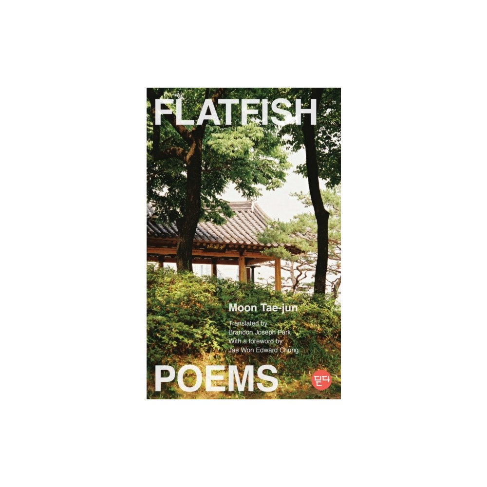 Rutgers University Press Flatfish (häftad, eng)