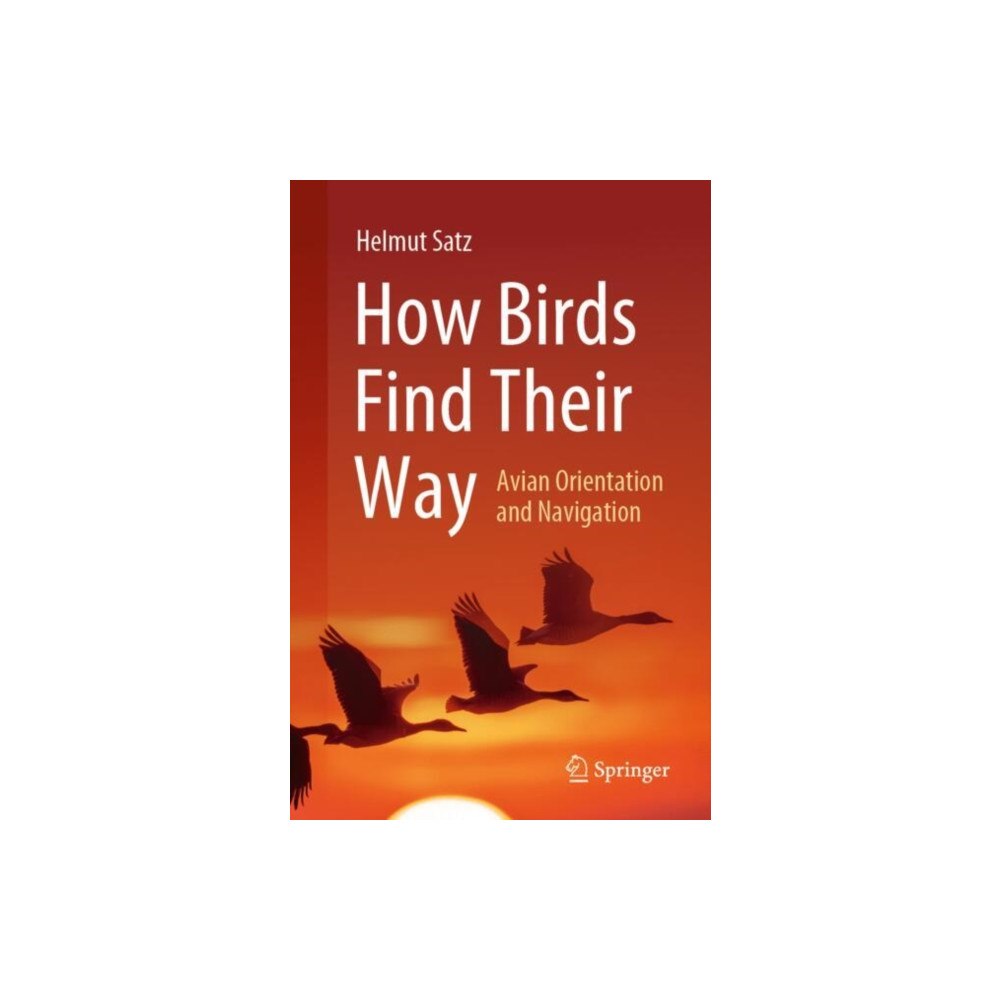 Springer International Publishing AG How Birds Find Their Way (häftad, eng)