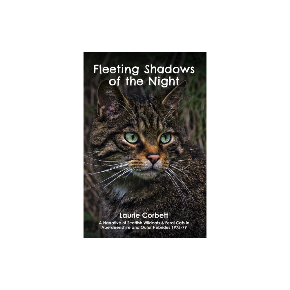 Austin Macauley Publishers Fleeting Shadows of the Night (häftad, eng)