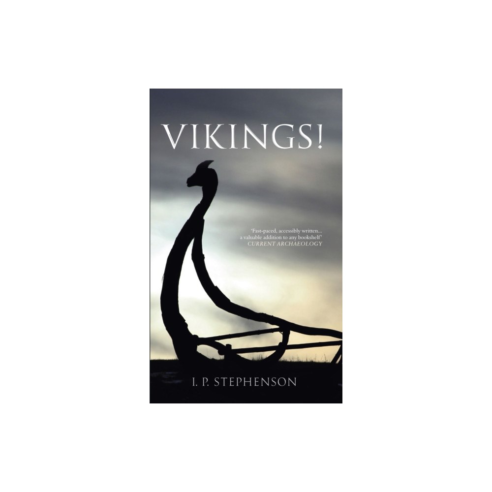 Amberley Publishing Vikings! (häftad, eng)