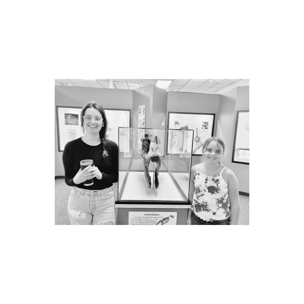 University of Nebraska Press Dinosaur Dreams (häftad, eng)