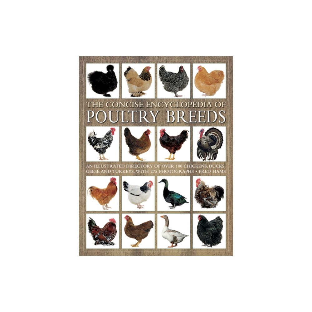 Anness publishing Concise Encyclopedia of Poultry Breeds (häftad, eng)
