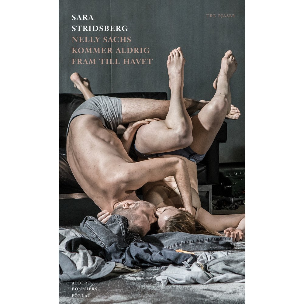 Sara Stridsberg Nelly Sachs kommer aldrig fram till havet (inbunden)