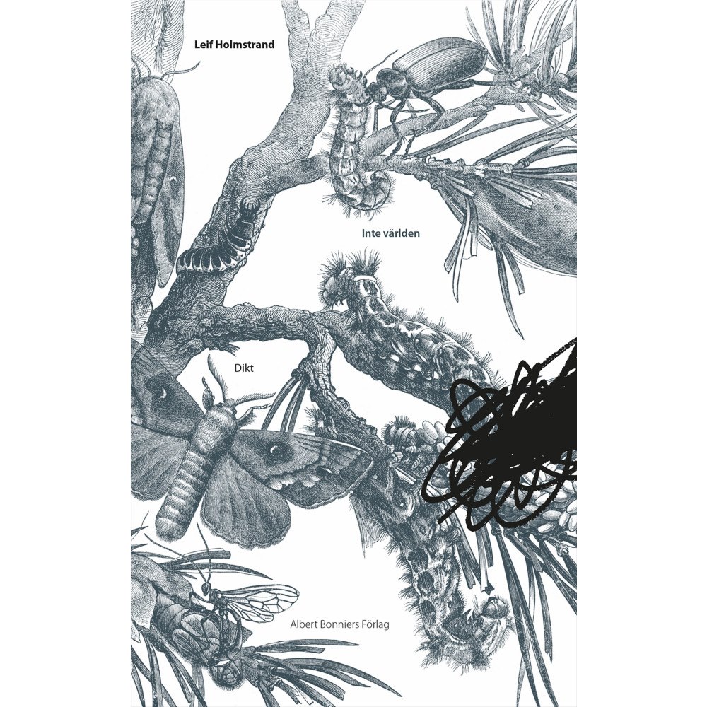 Leif Holmstrand Inte världen (inbunden)
