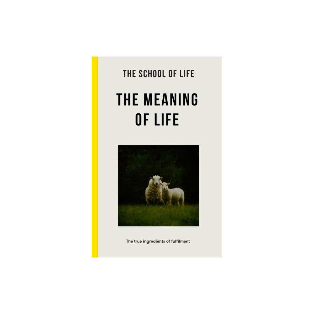 MacMillan Ltd. The Meaning of Life (pocket, eng)