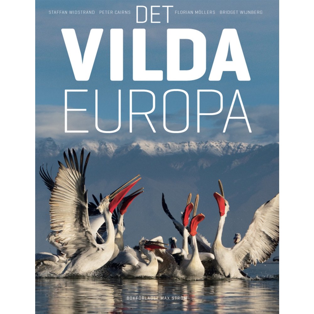 Max Ström Det vilda Europa (inbunden)