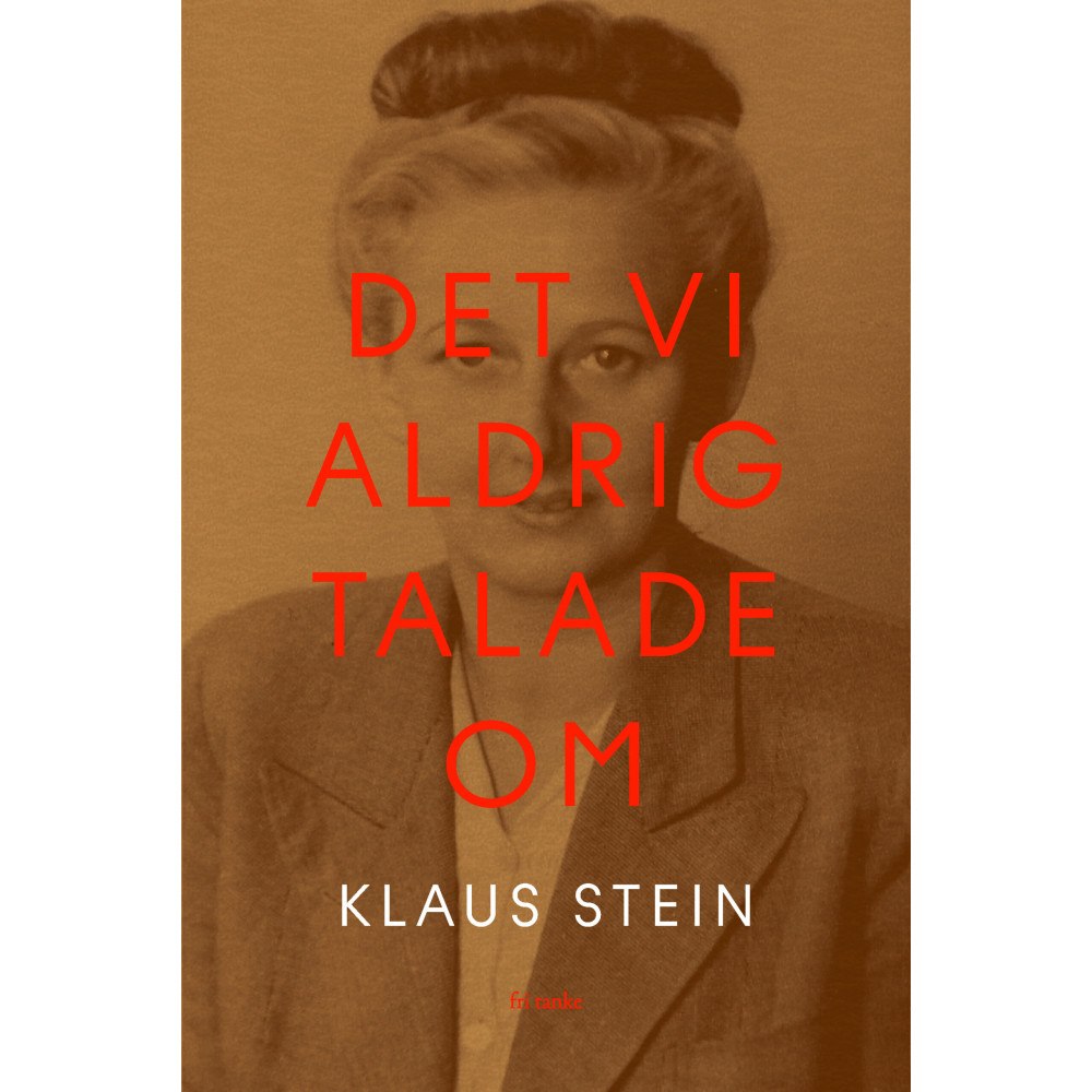 Klaus Stein Det vi aldrig talade om (inbunden)
