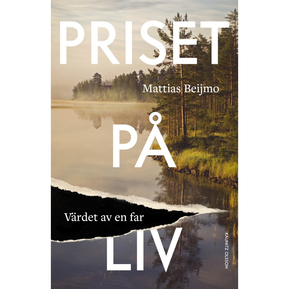 Mattias Beijmo Priset på liv : värdet av en far (inbunden)