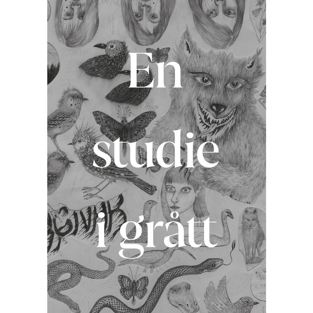 Ragnar Persson En studie i grått (inbunden)