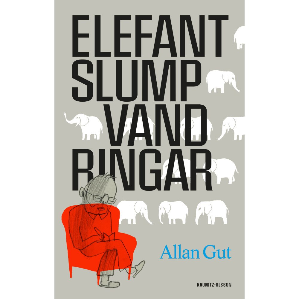 Allan Gut Elefantslumpvandringar : matematikens skönhet och livets skörhet (inbunden)