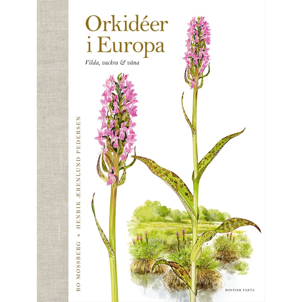 Bo Mossberg Orkidéer i Europa : vilda, vackra & väna (inbunden)