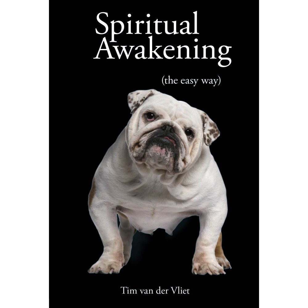 Tim Van Der Vliet Spiritual awakening - (the easy way) (häftad, eng)