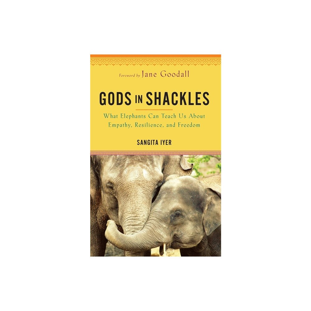 Sangita Iyer Gods in Shackles (häftad, eng)