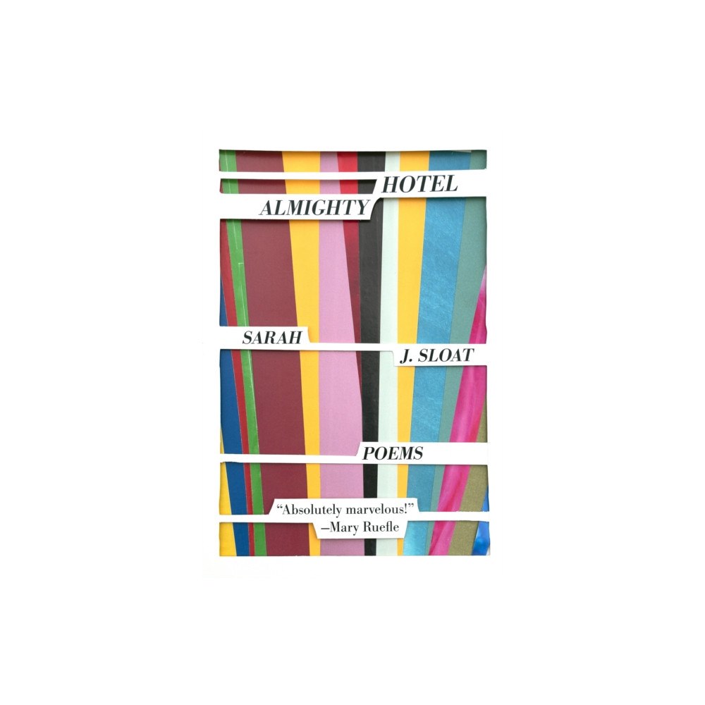 Sarabande Books, Incorporated Hotel Almighty (häftad, eng)