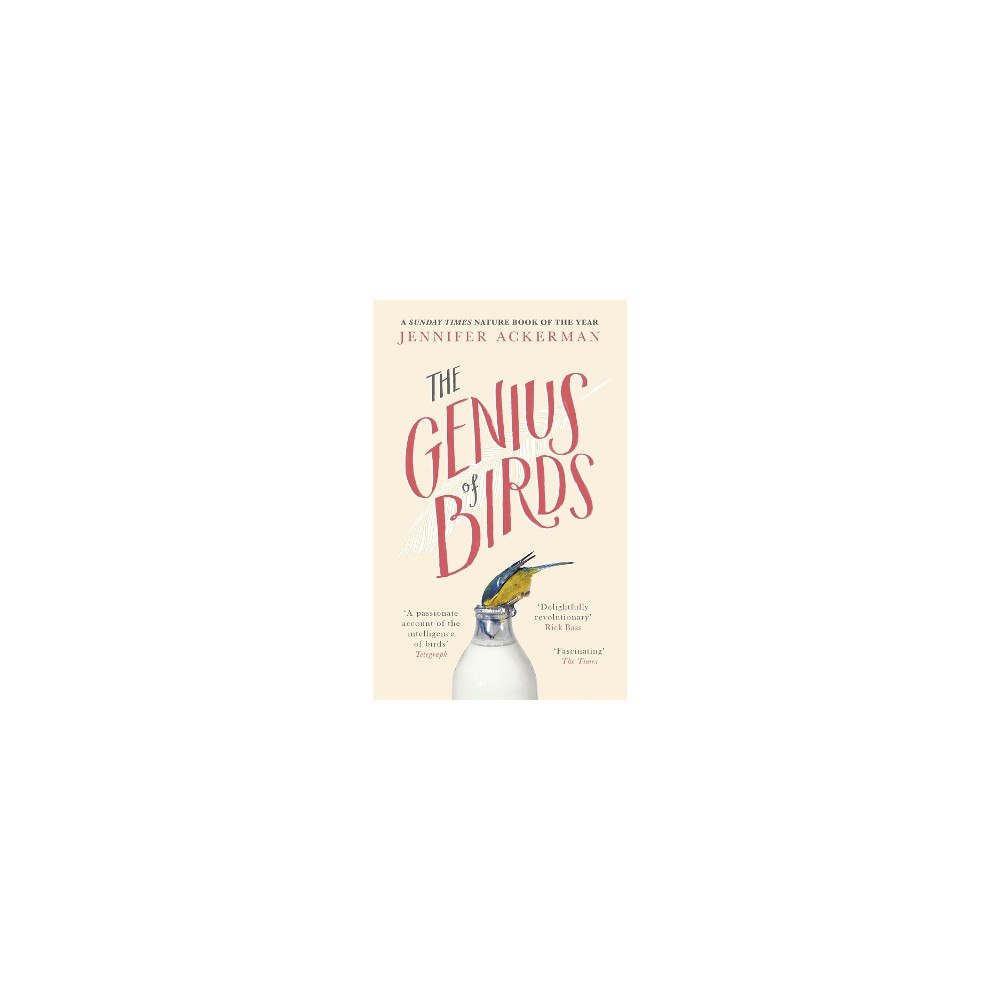 Jennifer Ackerman Genius of birds (häftad, eng)