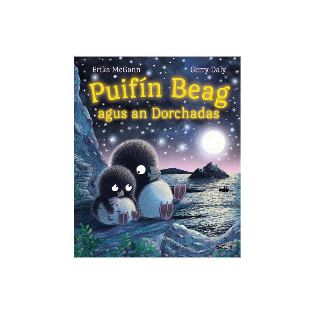 O'Brien Press Ltd Puifin Beag agus an Dorchadas (häftad, gle)