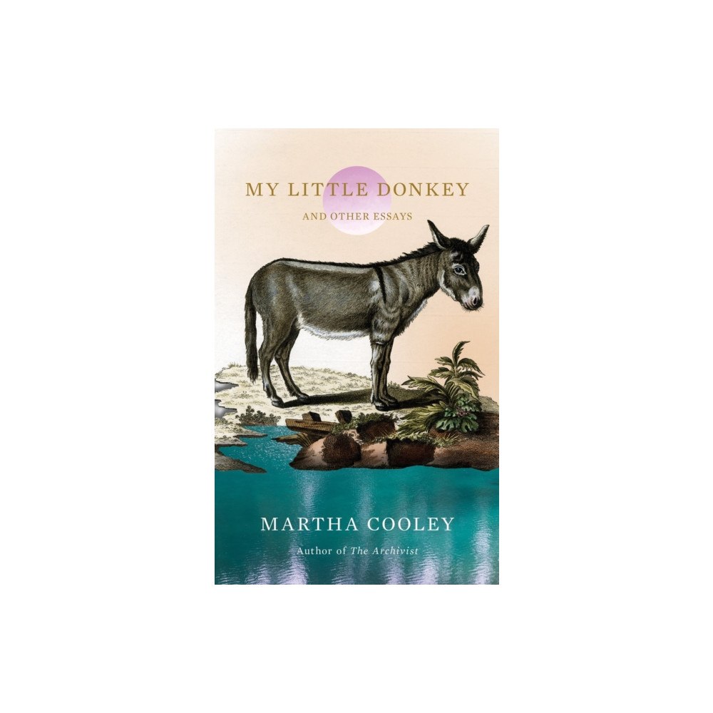 Catapult My Little Donkey (häftad, eng)