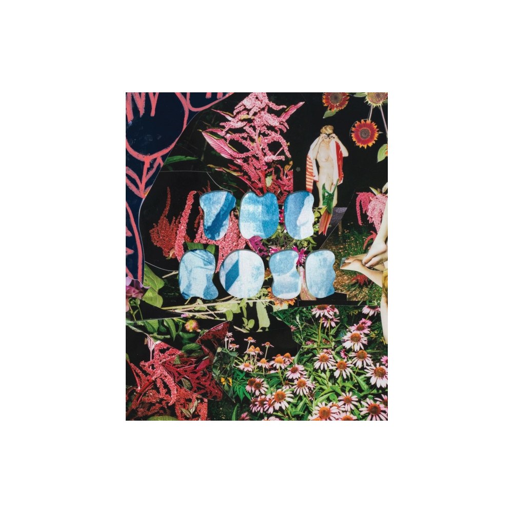 Lumber Room The Rose: A Circular Genealogy of Collage (inbunden, eng)