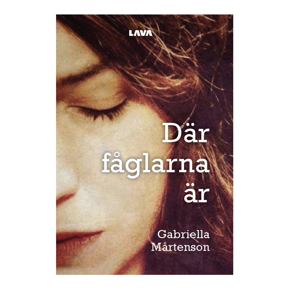 Gabriella Mårtenson Där fåglarna är (bok, danskt band)