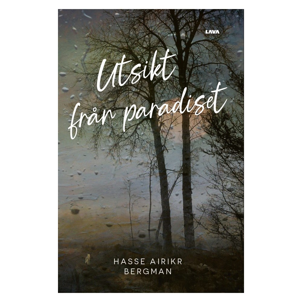 Hasse Airikr Bergman Utsikt från paradiset (bok, danskt band)