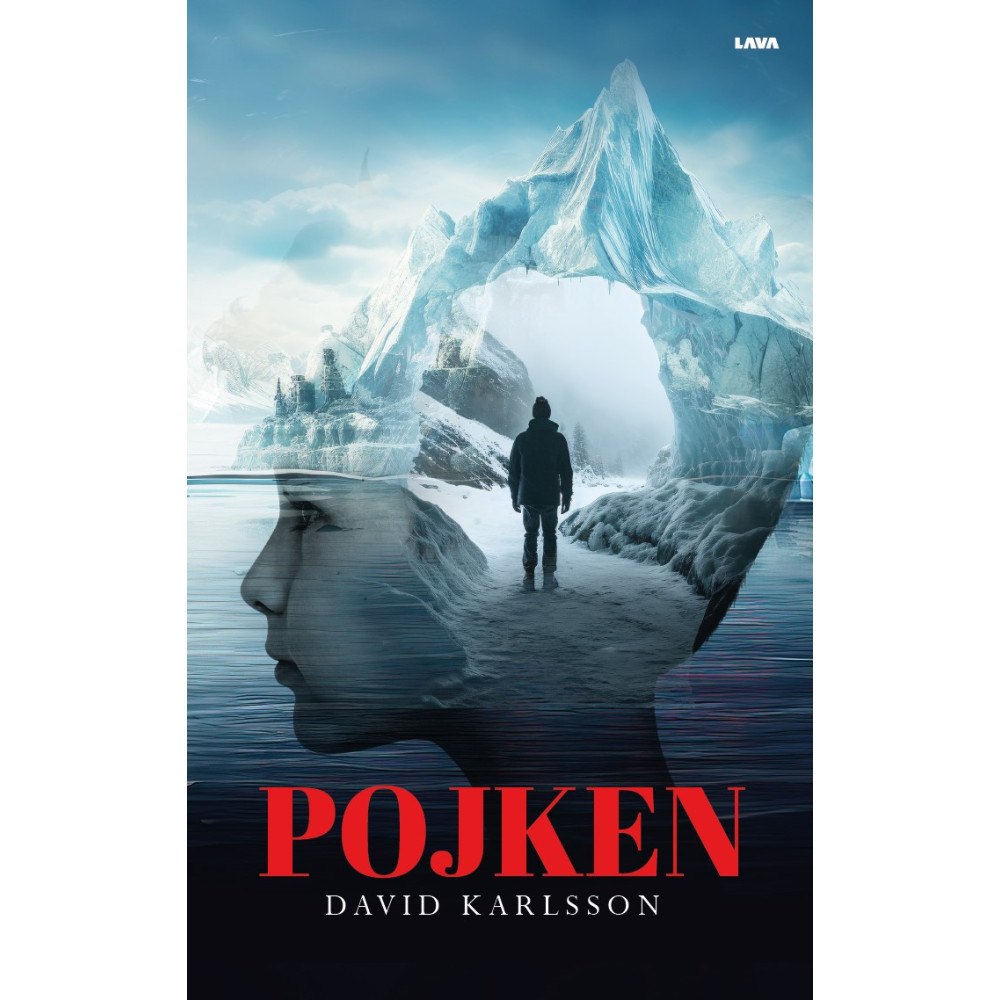 David Karlsson Pojken (bok, storpocket)