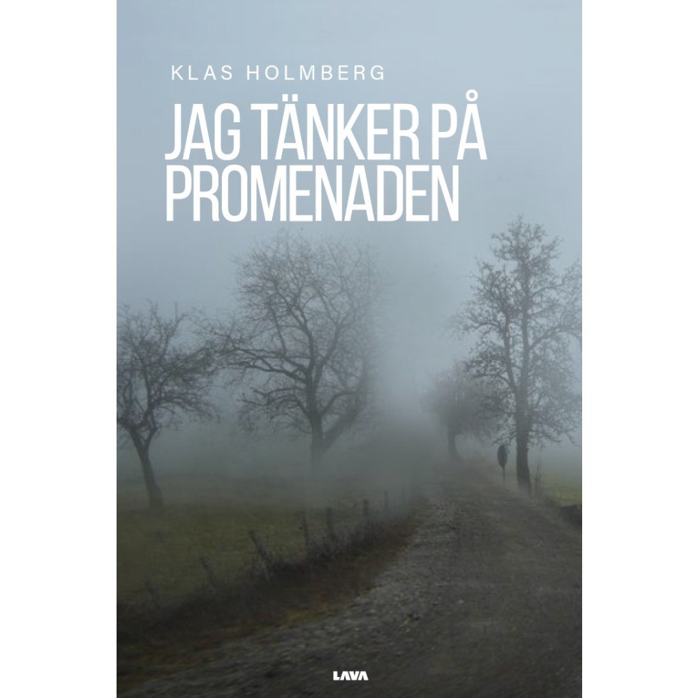Klas Holmberg Jag tänker på promenaden (bok, danskt band)