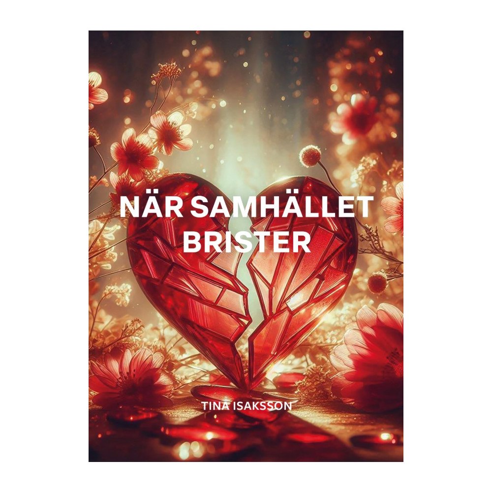 Tina Isaksson När samhället brister (bok, storpocket)