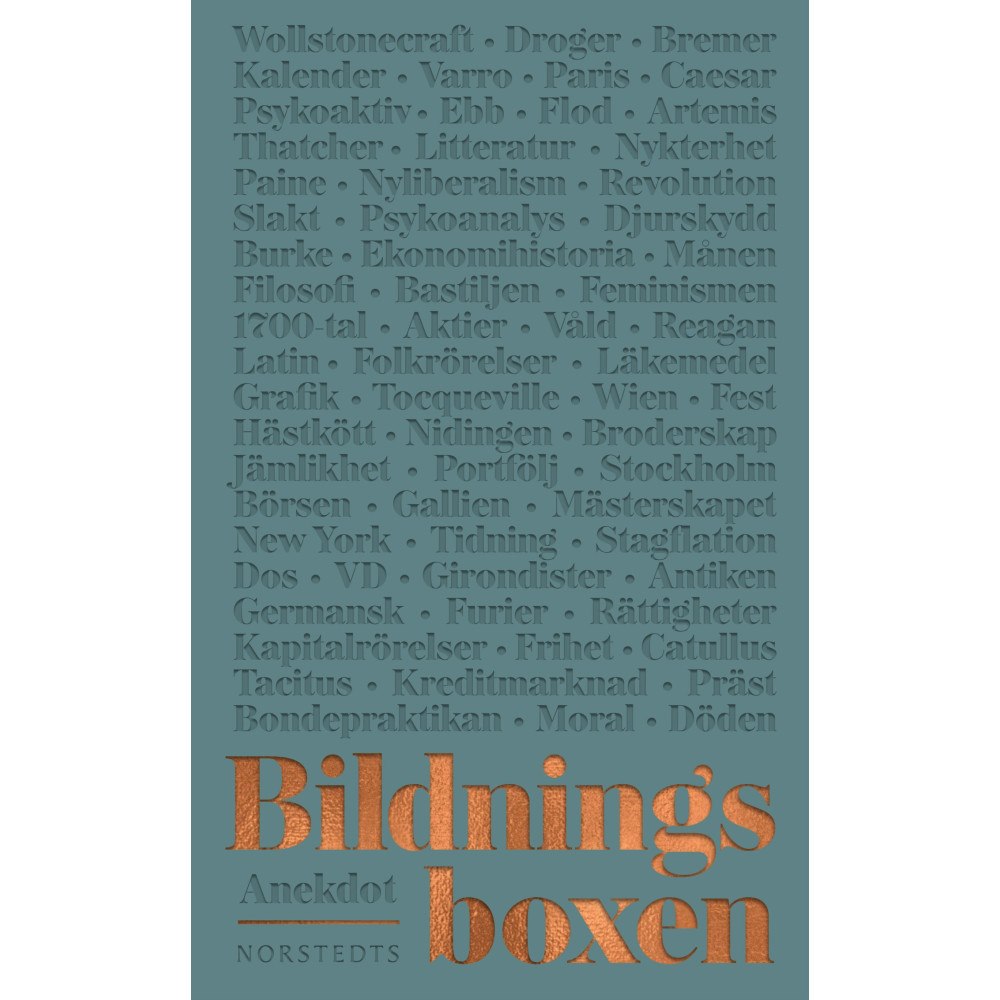 Lena Halldenius Bildningsboxen (häftad)