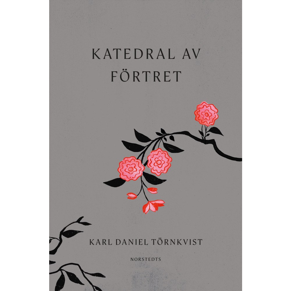 Karl Daniel Törnkvist Katedral av förtret (inbunden)