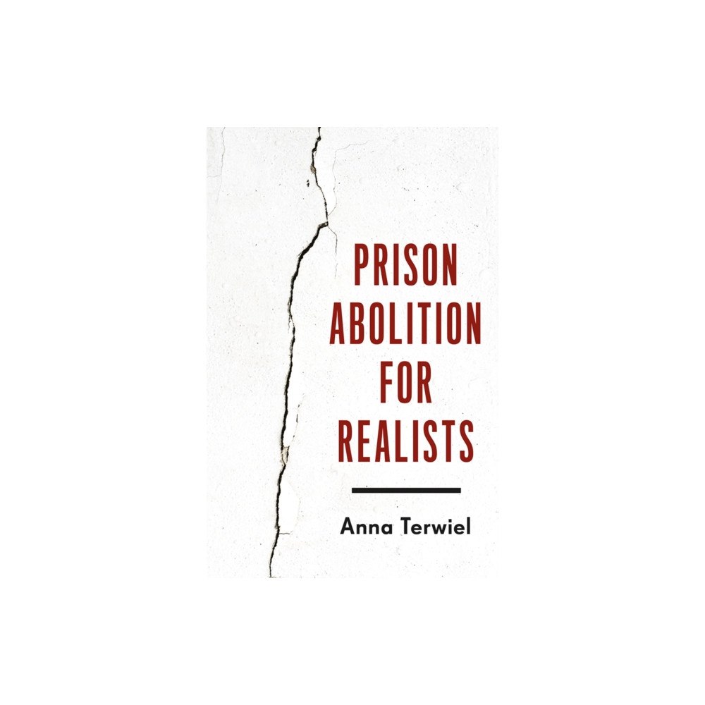 University of Minnesota Press Prison Abolition for Realists (häftad, eng)