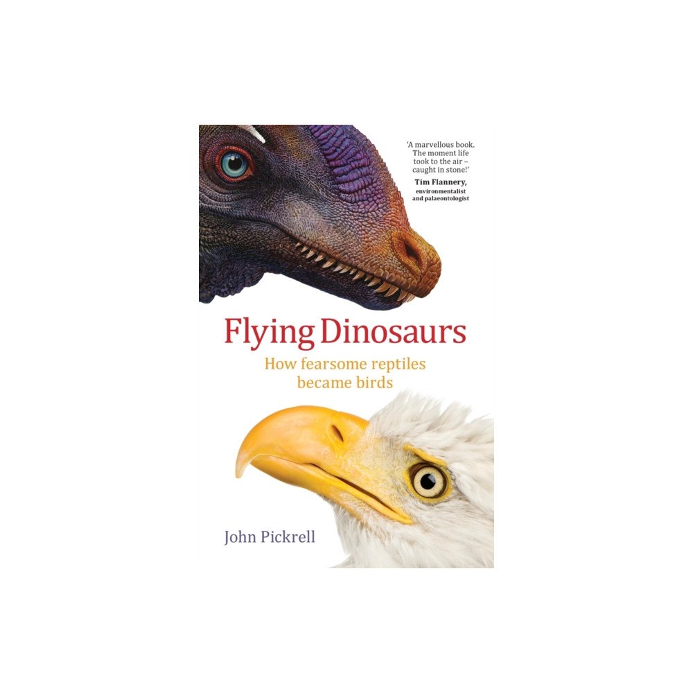 NewSouth Publishing Flying Dinosaurs (häftad, eng)