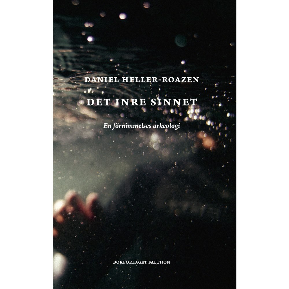 Daniel Heller-Roazen Det inre sinnet : en förnimmelses arkeologi (inbunden)