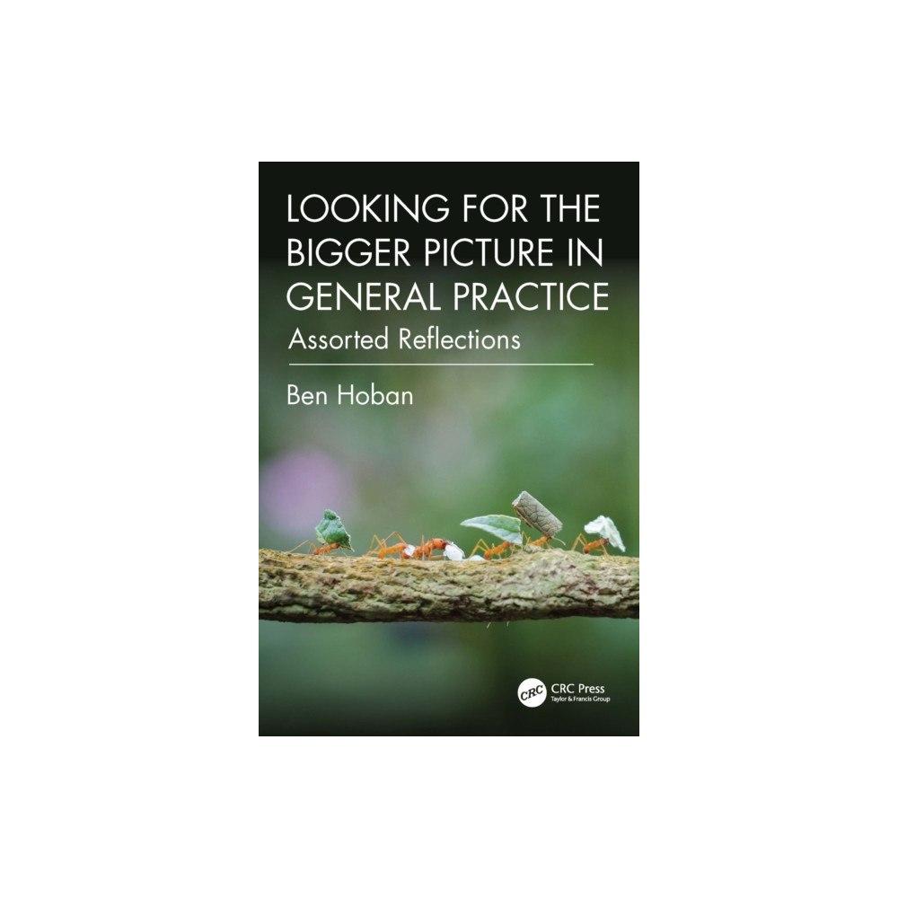 Taylor & francis ltd Looking for the Bigger Picture in General Practice (häftad, eng)