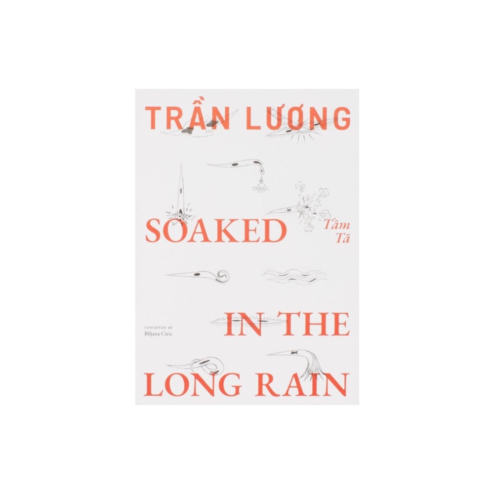 Mousse Publishing Tran Luong: Soaked in the Long Rain (häftad, eng)