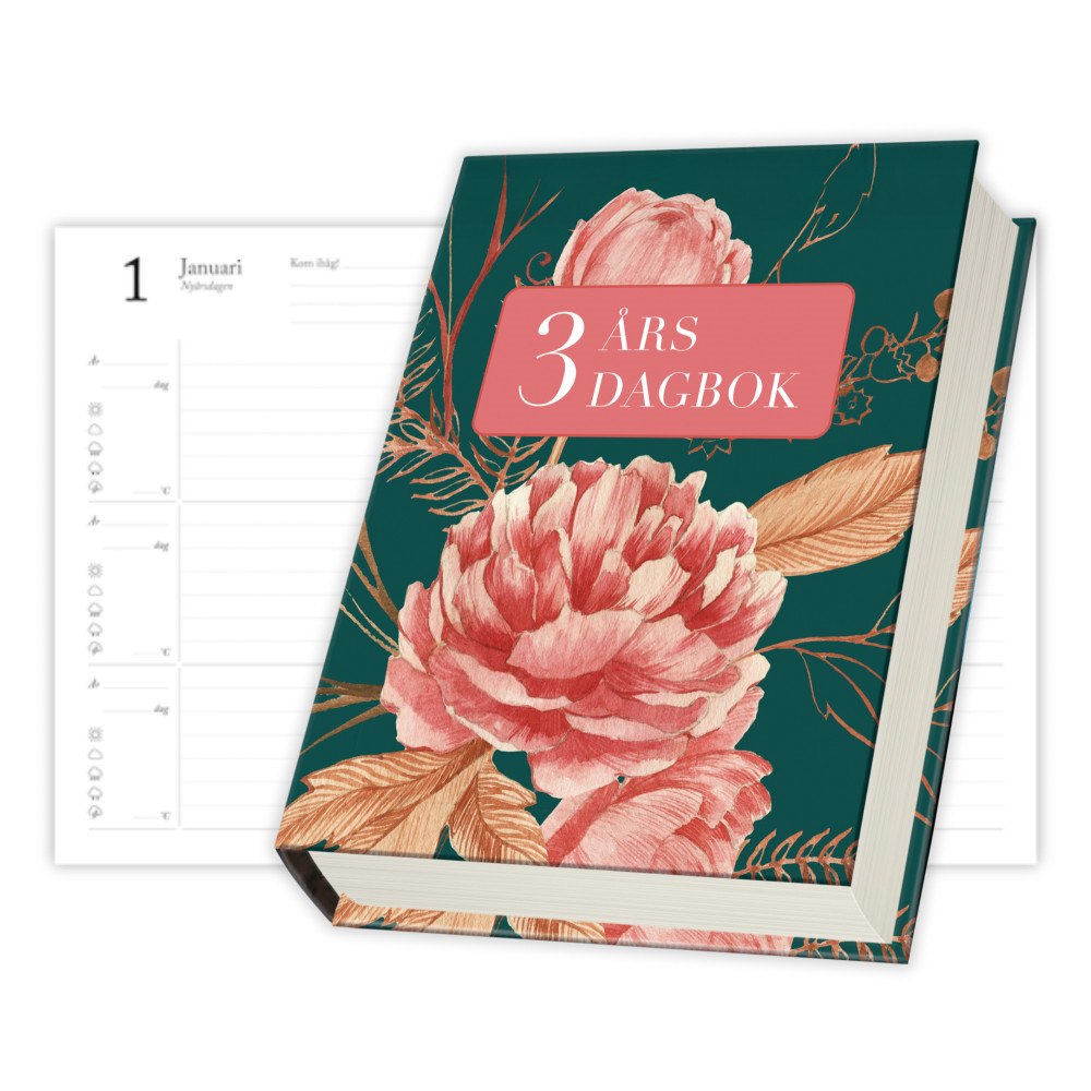 Livsenergi 3 års dagbok (bok, danskt band)