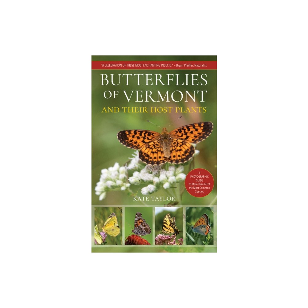 Trafalgar Square Butterflies of Vermont (häftad, eng)