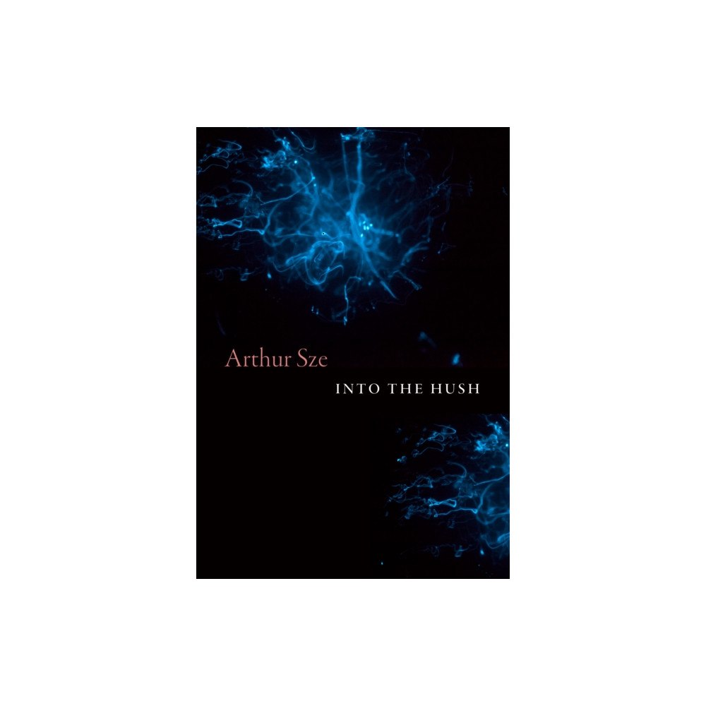 Copper Canyon Press,U.S. Into the Hush (häftad, eng)